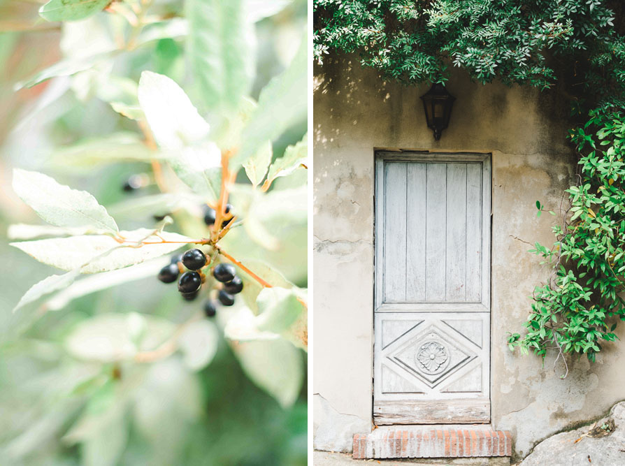 décor du jardin